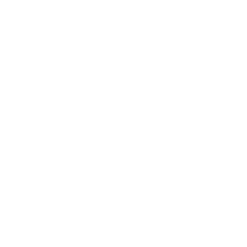 Sex Worker's Opera's logo
